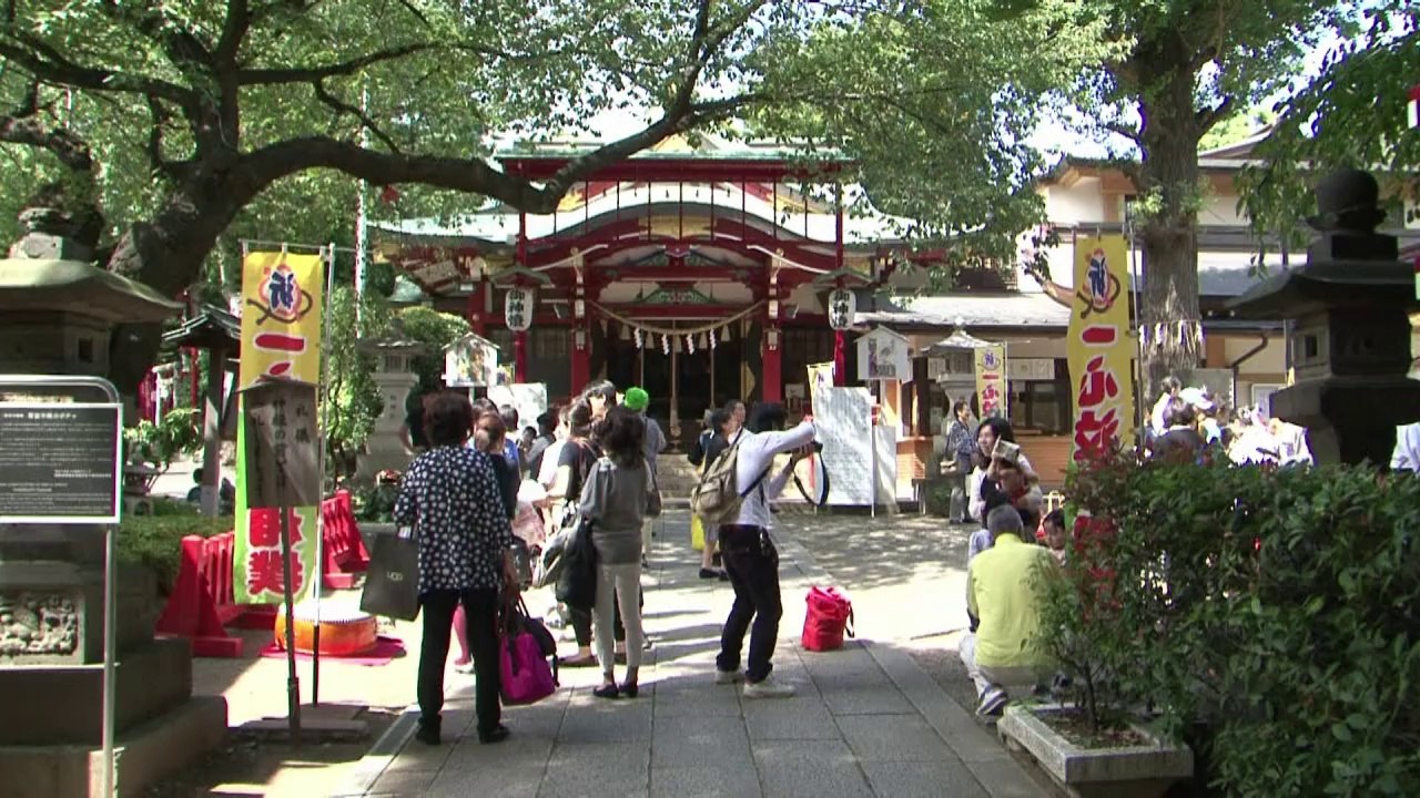 Heul doch! Baby-Sumo in Japan