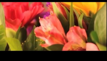 Relaxing Acoustic (Amore Ti Amo)