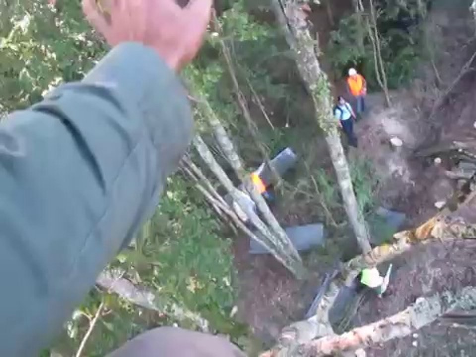 ZAD du Testet  2014 - Bûcheron hors légal ? SEBSO - Sté Exploitation des Bois du Sud Ouest