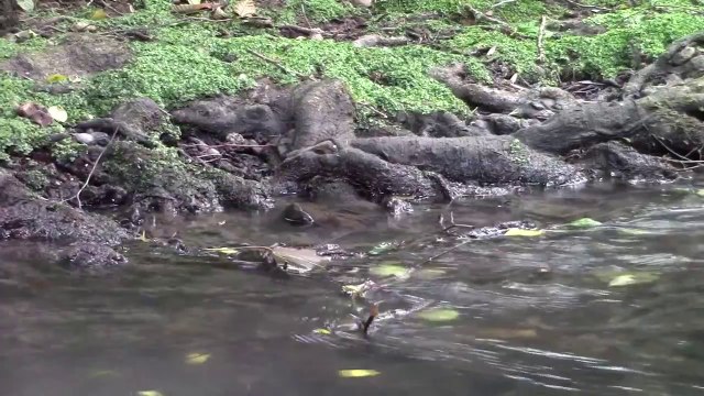 La lutte de Sivens: ZAD du Testet, barrage de Sivens - Terre éveillée