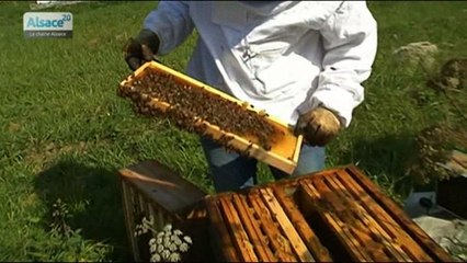 En passant par la Lorraine épisode 3