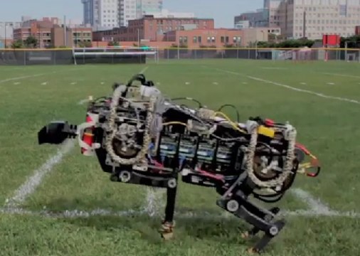 Cheetah, le robot guépard qui voulait dépasser Usain Bolt