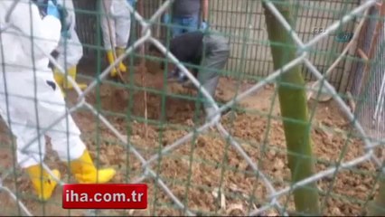 Öldürdüğü arkadaşını kümese gömdü - KonyaMesaj.com