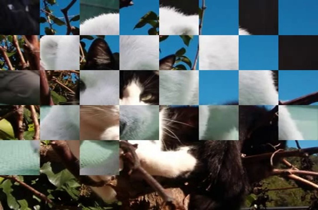 Protege a los animales