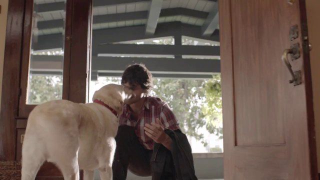 Ne conduis pas bourré, ton chien t'attend à la maison! Pub Budweiser pour responsabiliser les buveurs.