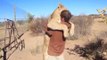 Rescued Lion Hugs Man