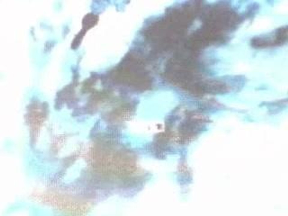 Vidéo de battlefield 2 de la CRG Team