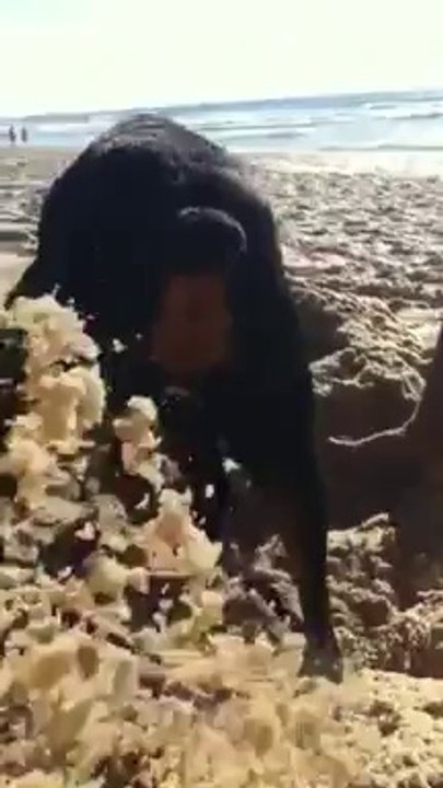 IZIA à la plage !