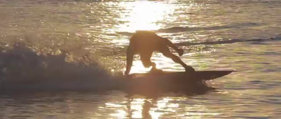 Cette planche de surf entièrement électrique est le jouet qu'il vous faut !