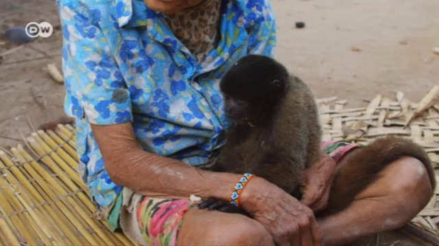 Peru - Protecting the rain forests | Global 3000
