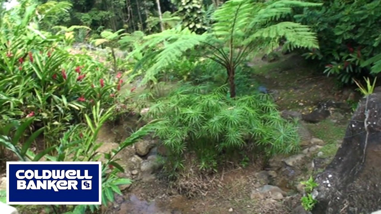 Ocean View Home Sale Rio Grande Puerto Rico