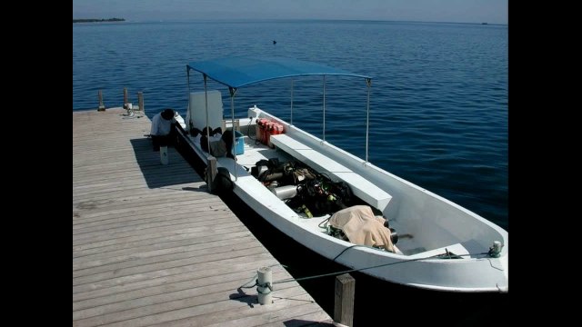 Harry´s adventures photo story random photos 2001 to 2009