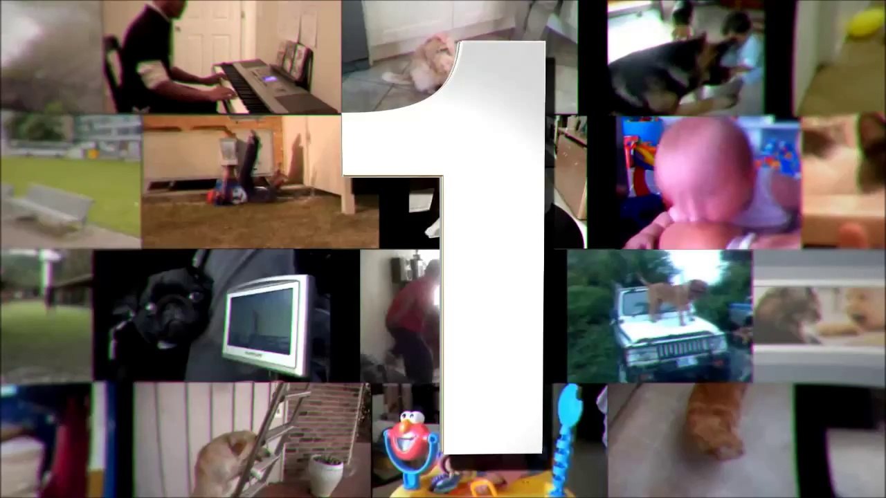 TOP 5 DOG VIDEOS #33.