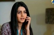 Meri Maa Episode 160 Full on Geo Tv - September 22