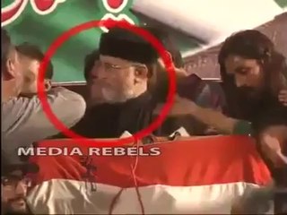 Height of Foolishness