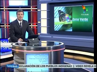 Hoy es el Día Mundial Sin Automóviles