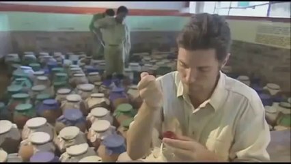 Russels Viper Venom Turned the Human Blood Into Jelly Mass!!