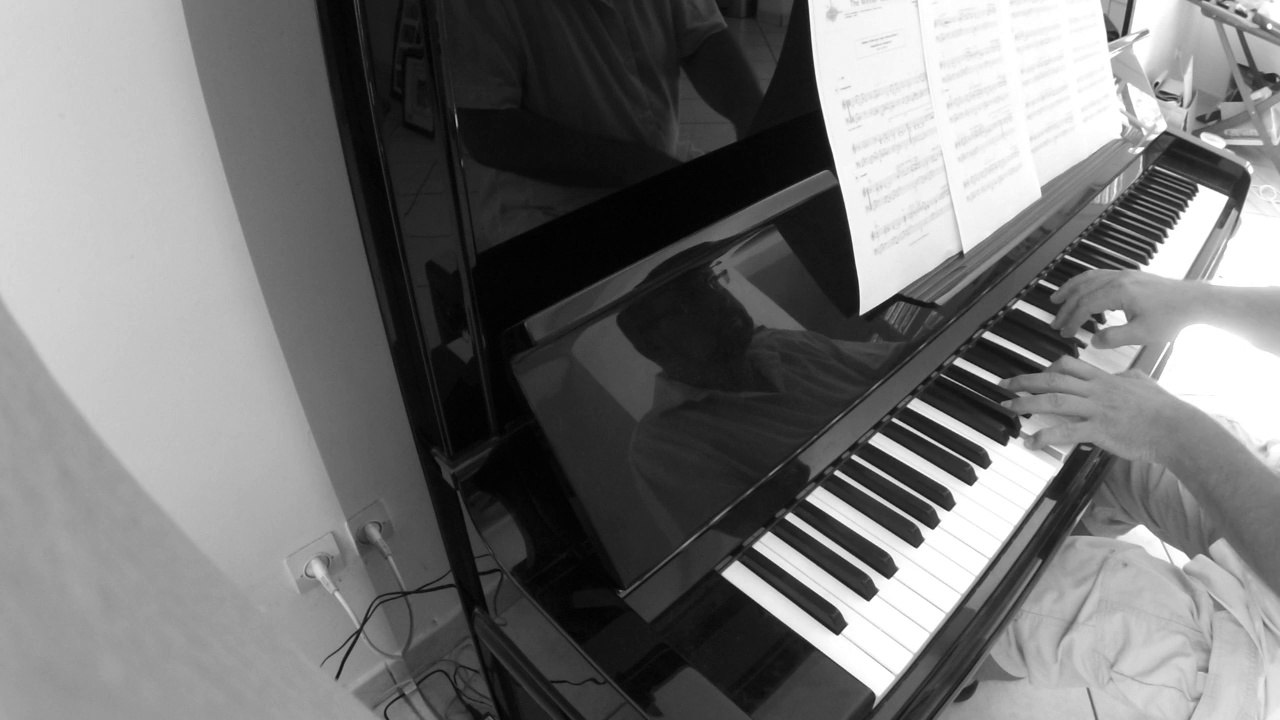 Abba - The Winner Takes It All - Piano Cover