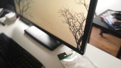 10 Feet Displayport Ebay Cable