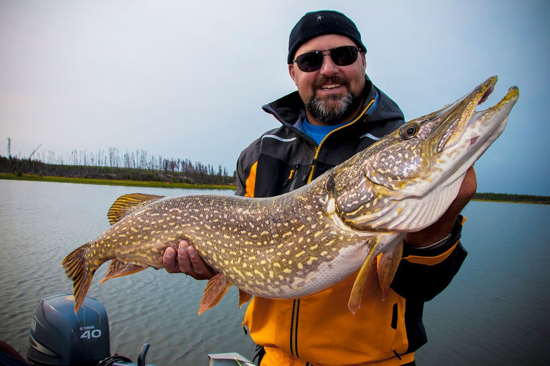 Hook Shots: Pike Heaven In Saskatchewan