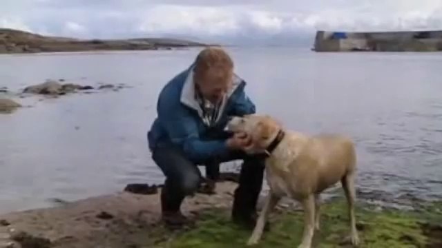 Bu köpeğin en iyi arkadaşı bir yunus