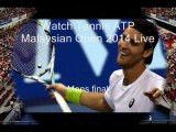 watch ATP Malaysian Open 2014 tennis mens final live online