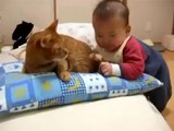 Kedinin kuyruğunu ısırmaya çalışan bebek