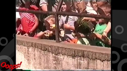 Funny Animals - Funny Home Videos - Greedy Elephant Snatches Kids Food