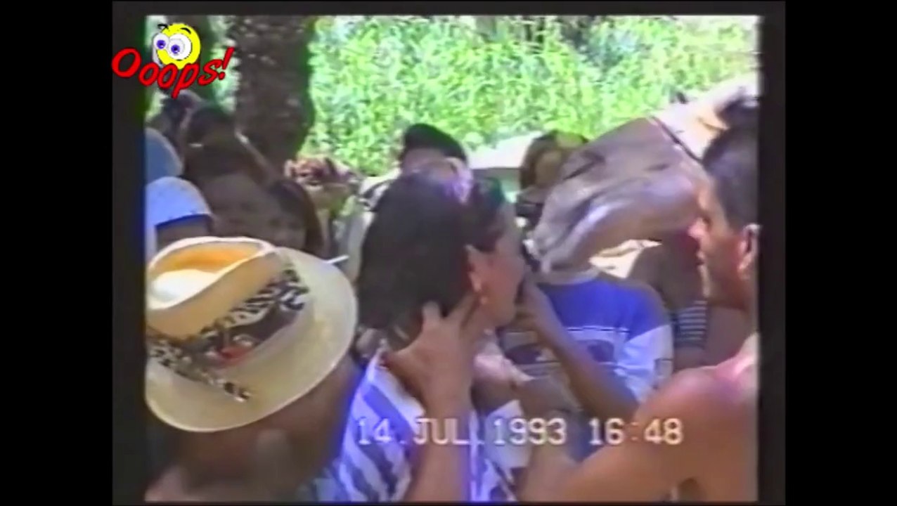 Funny Animals _ Best of Camels