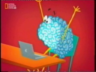 Cerebro social: Siguiendo a la mayoria