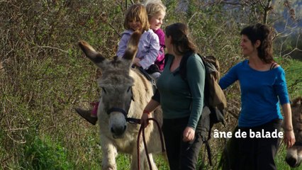 Petite présentation d'Entre 2 Oreilles, en image et en musique