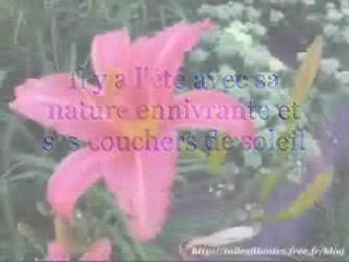 Saisons québécoises