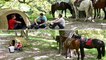 Equitation dans les Alpes de Haute-Provence
