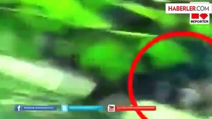 Meraklı Genci Kaplan Parçaladı