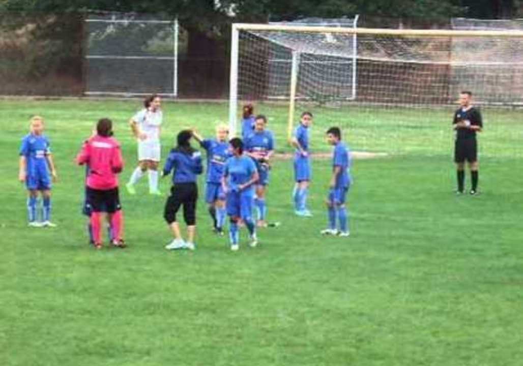 Goalkeeper Attempts to Attack Referee