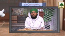 Electronic Muballigh - Madani Channel - Be Olaadi Ka Ilaj (1)