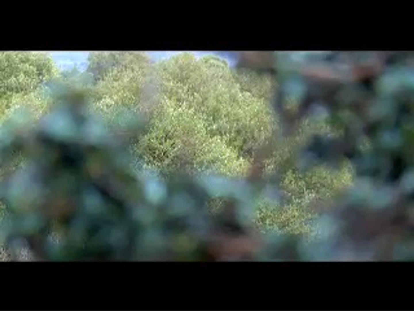 Documentary Zhob.