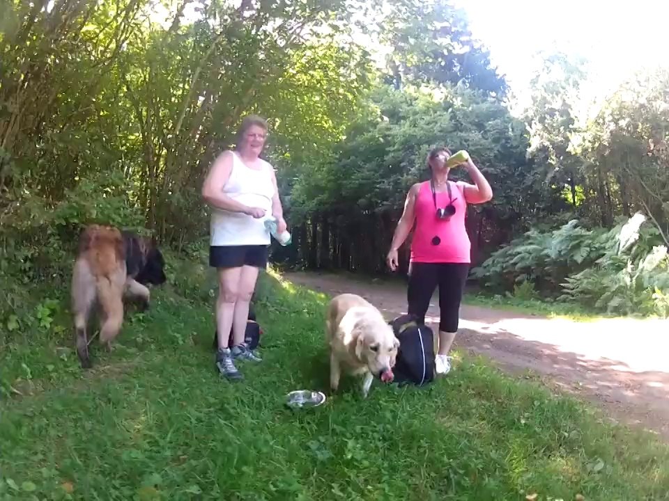 [Opale Coaching] Cani Rando à Argnat - Le 07/09/2014