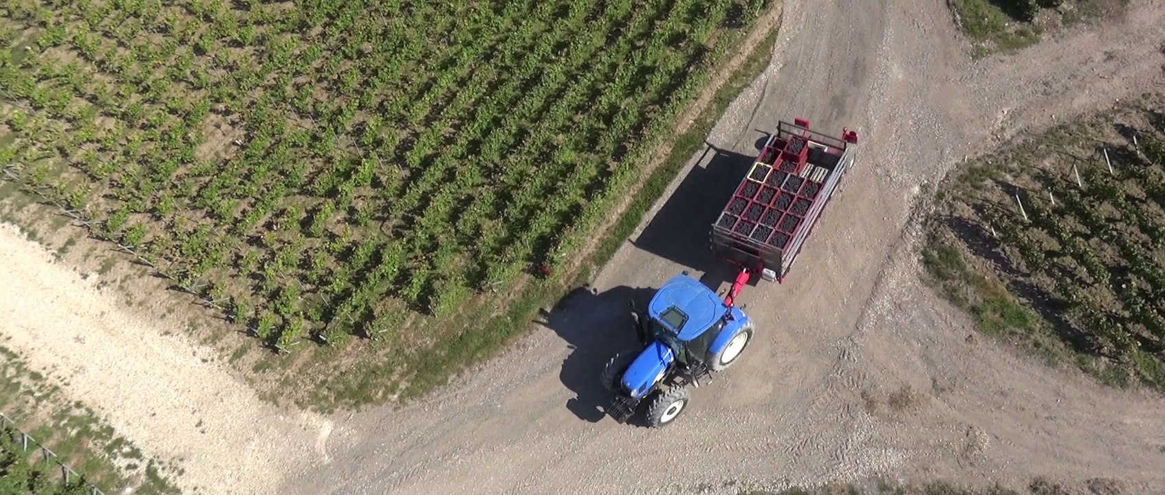 Bollinger - Harvest 2014