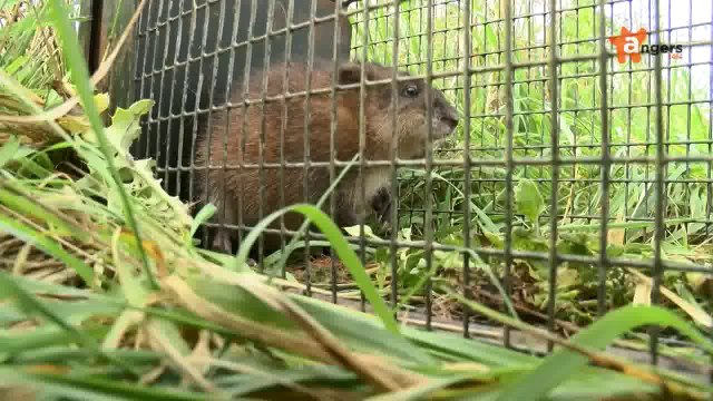 JT SEPTEMBRE 2014 [S.9] [E.23] - Le Journal du mardi 23 septembre 2014