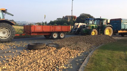 Légumiers en colère