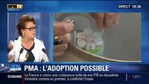 BFM Story: Adoption après une PMA: 