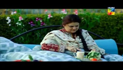 Mohabbat Ab Nahi Hogi Episode 15 HUM TV Drama Full Episode  23 September 2014