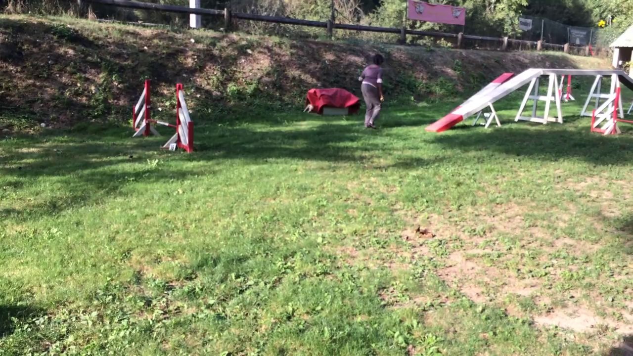 Buck veut absolument faire la chaussette