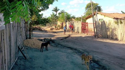Conheça a vila presidencial do Piauí