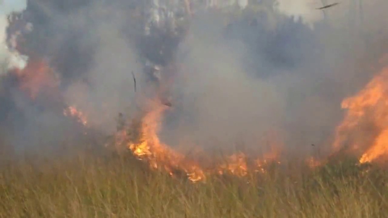 Incendi als Muntanyans (Torredembarra)[1]