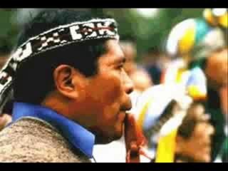 bandidos family - sangre araucana