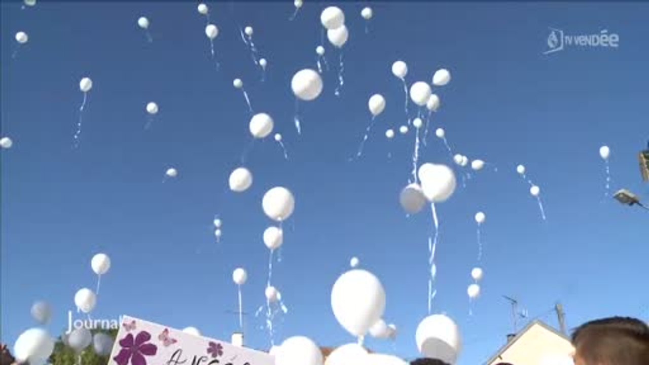 Une marche blanche en mémoire de la petite Angèle (Vendée)