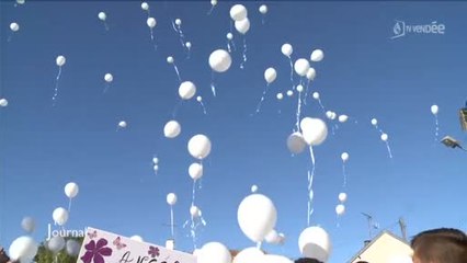 Une marche blanche en mémoire de la petite Angèle (Vendée)