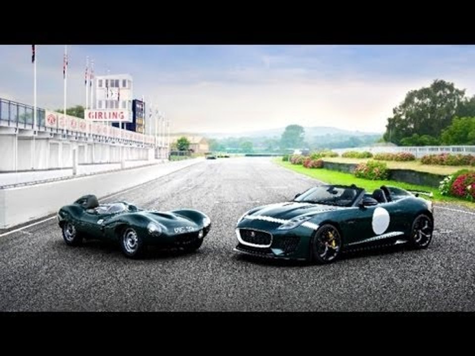 Schnellste Raubkatze ever !